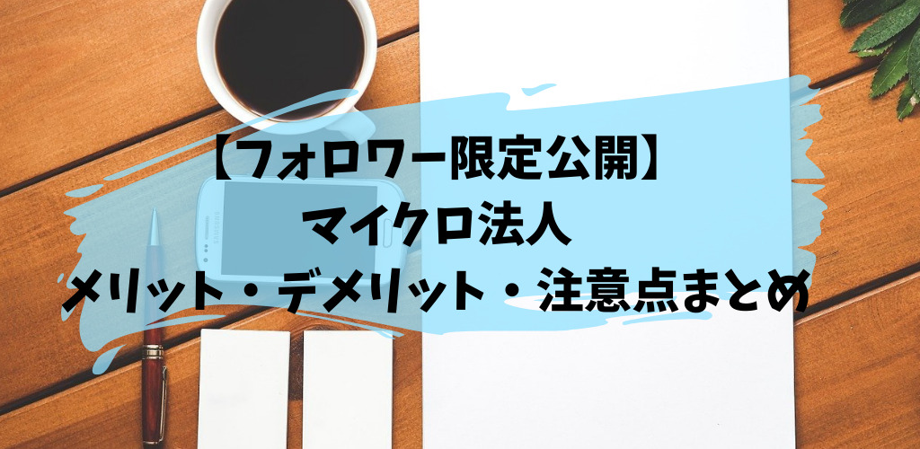 マイクロ法人